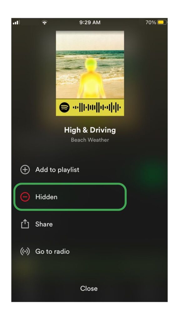 Spotify Public Playlist Hidden Song
