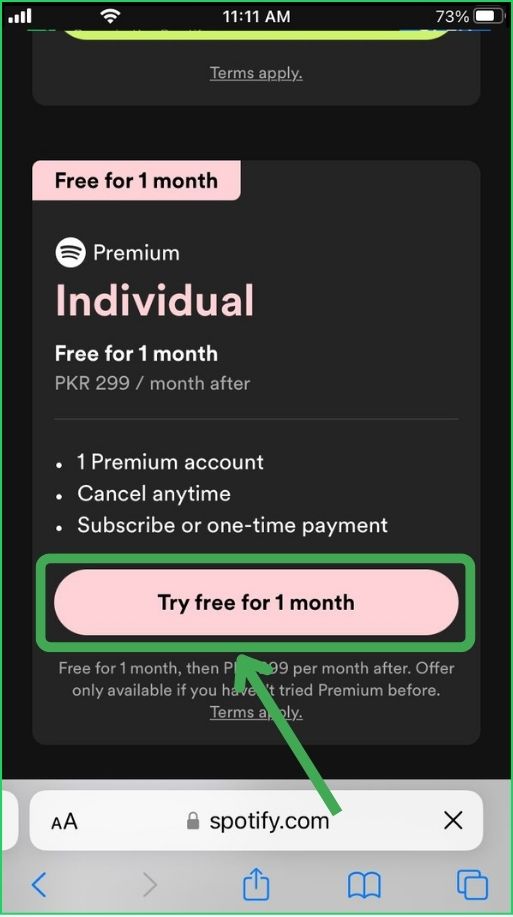 Spotify Individual Plan