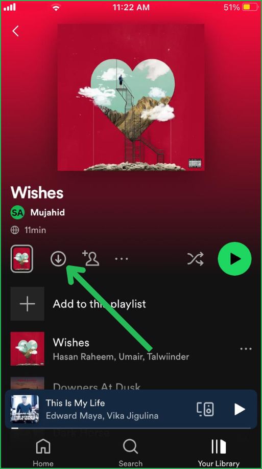 Download Spotify Playlist icon