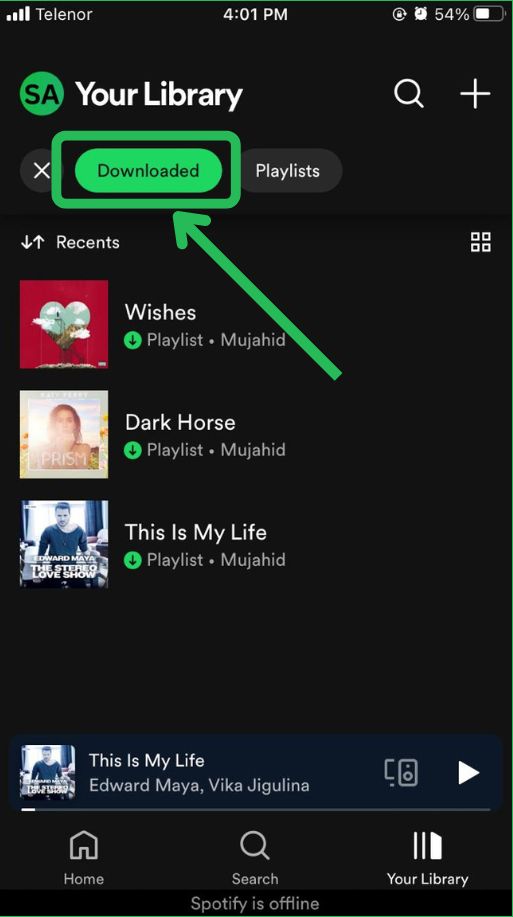Spotify Downloaded Playlists