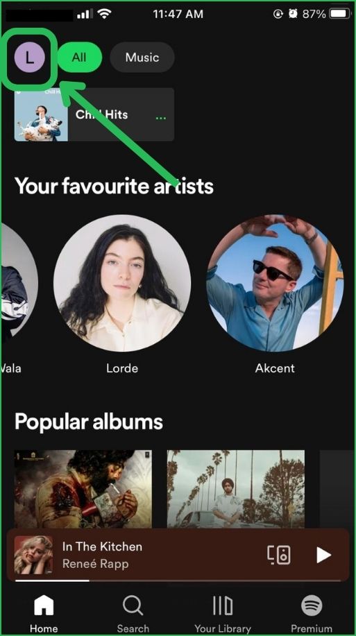 Spotify Account Profile Icon