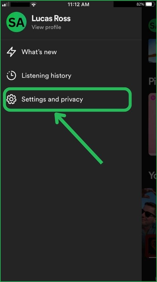 Spotify app Setting and Privacy